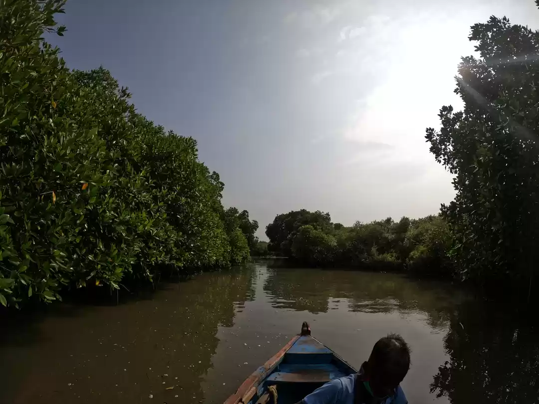 Photo of Offbeat gem near Pon