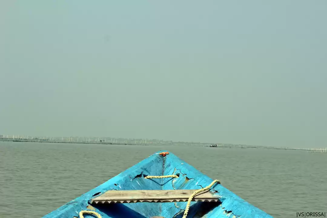 Photo of ROAD TRIP ACROSS 5 S