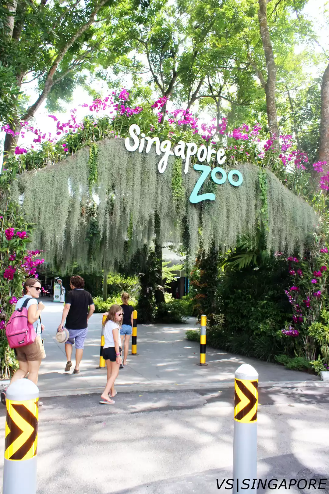 Photo of SINGAPORE SLING