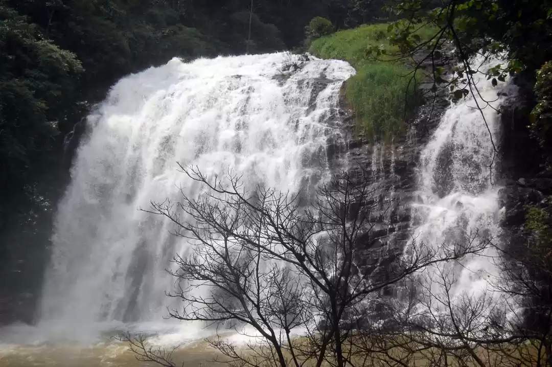 Photo of Why Coorg keeps call