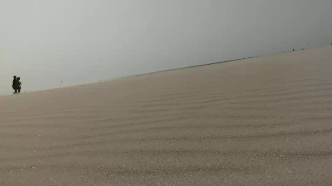 Photo of Gorgeous GoA!
