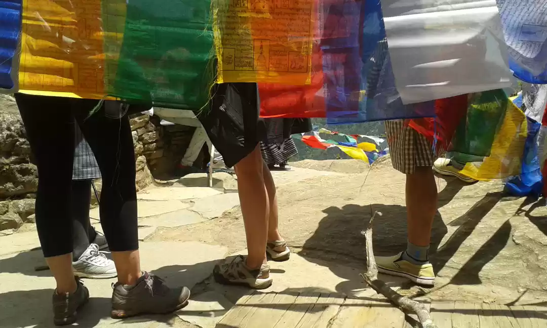 Photo of 7 WHAT NOT TO DO's W