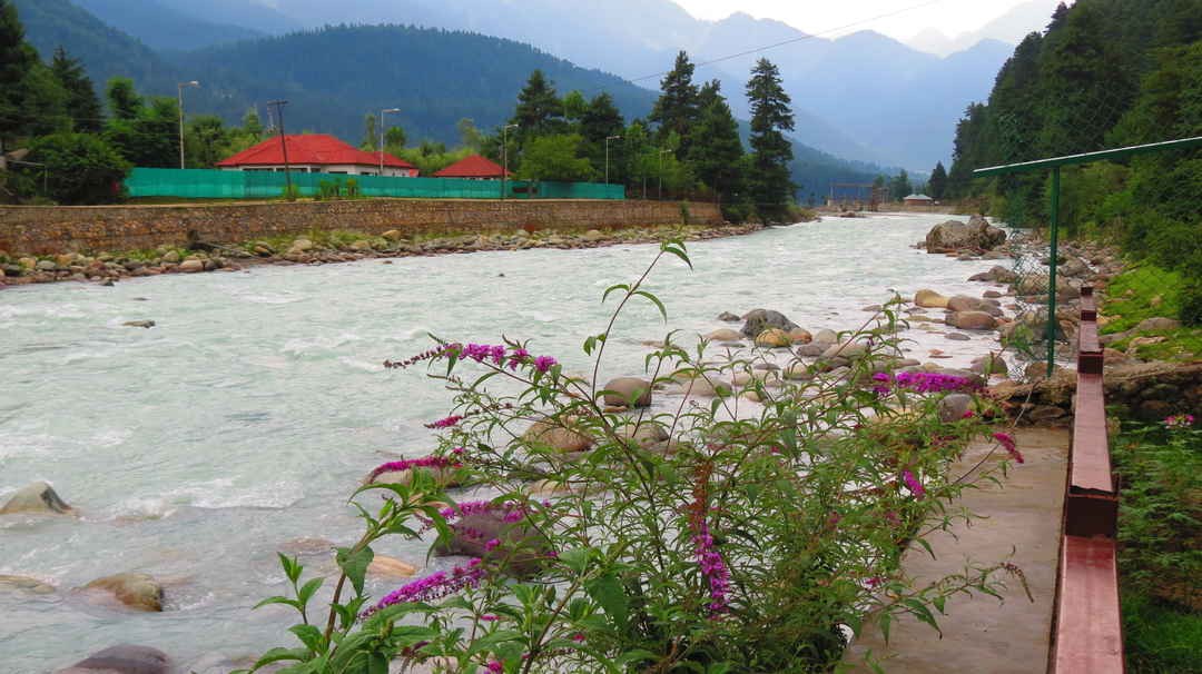 Kashmir A Beautiful Memory For Life Tripoto