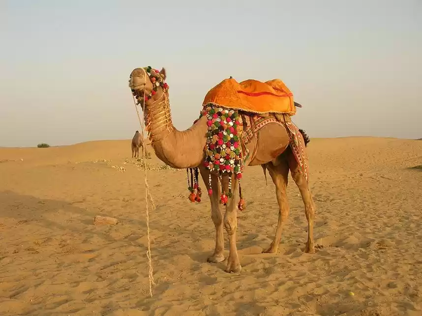 Photo of Jaisalmer- An Abode 