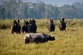 Photo of GO, VISIT KAZIRANGA 