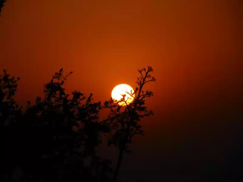 Photo of Explore Mount Abu—en