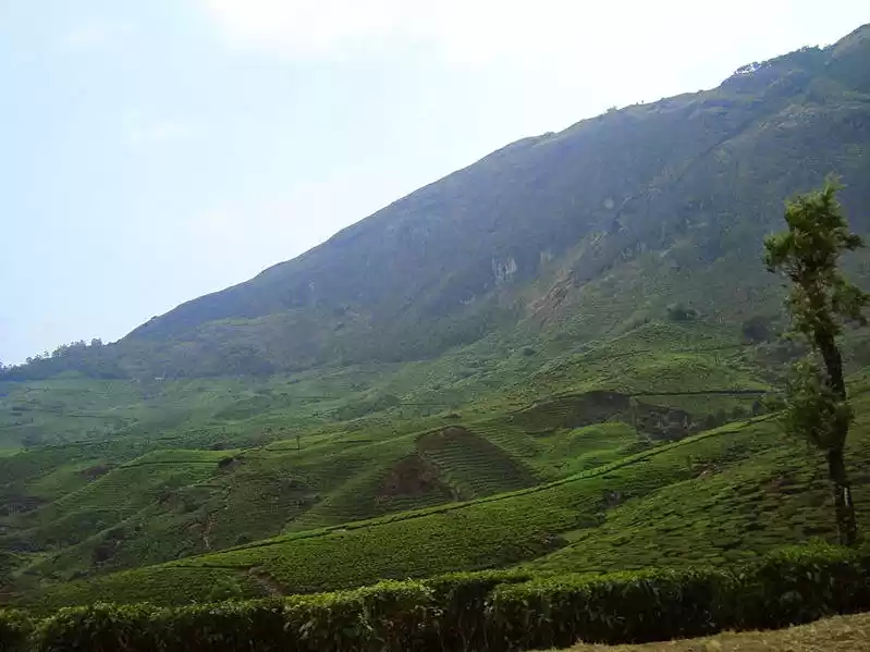 Photo of Munnar – A jewel in 