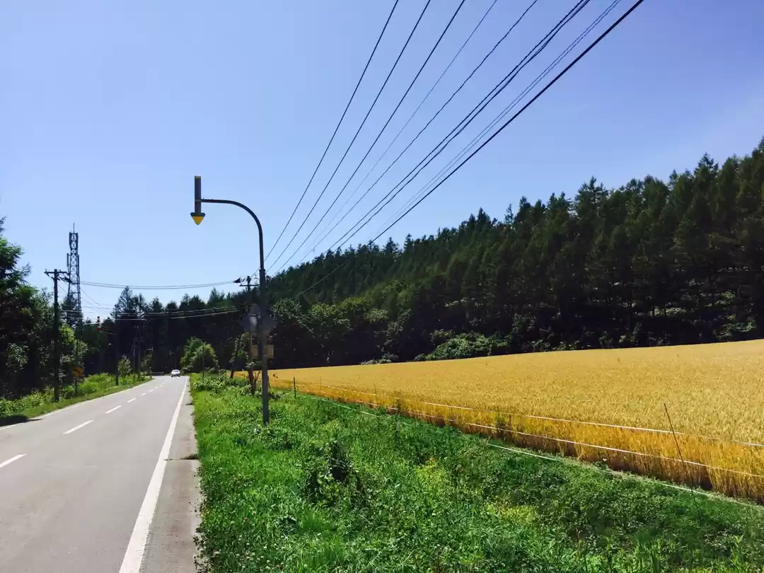 Photo of Japan: Part 2 - Cher