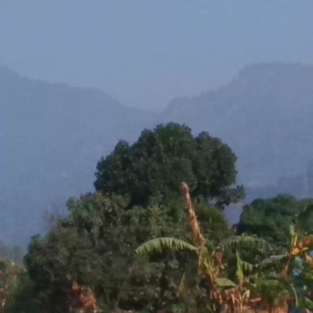 Photo of Roadtrip To Lansdown