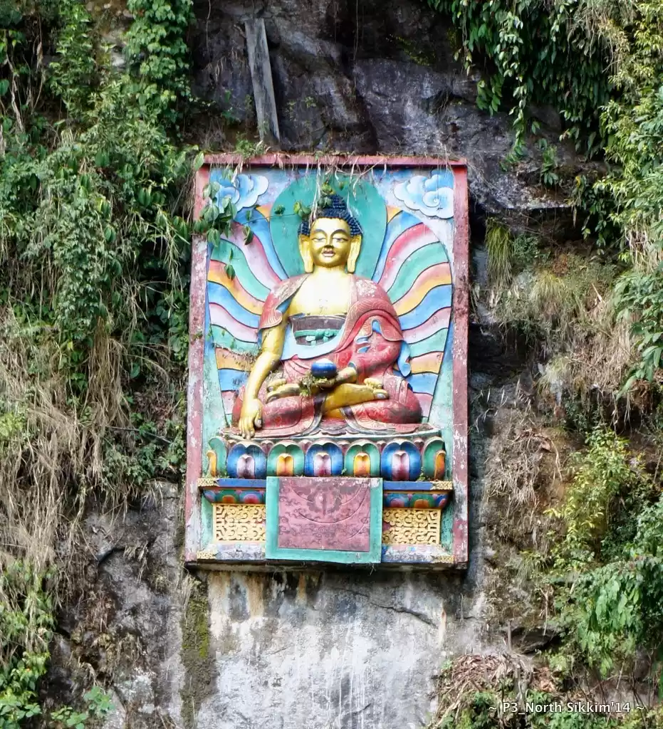 Photo of Sikkim- Greens, Whit