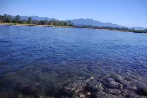 Photo of Of rivers, rhinos an