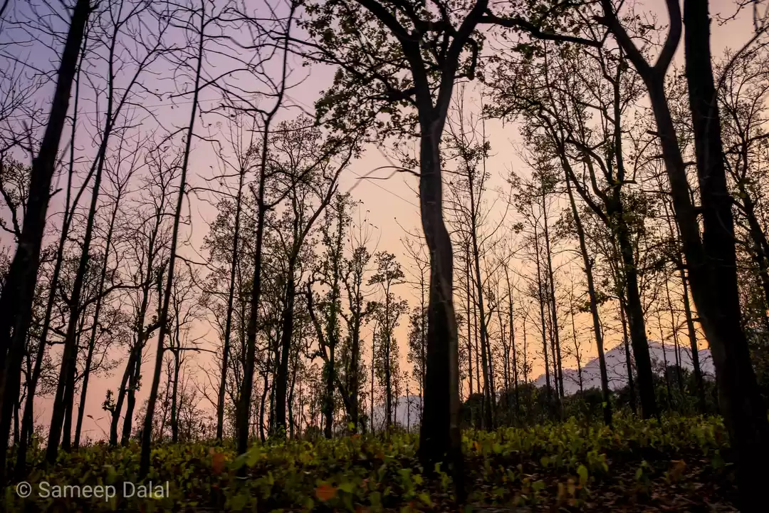 Photo of Nakuchia Taal - The 