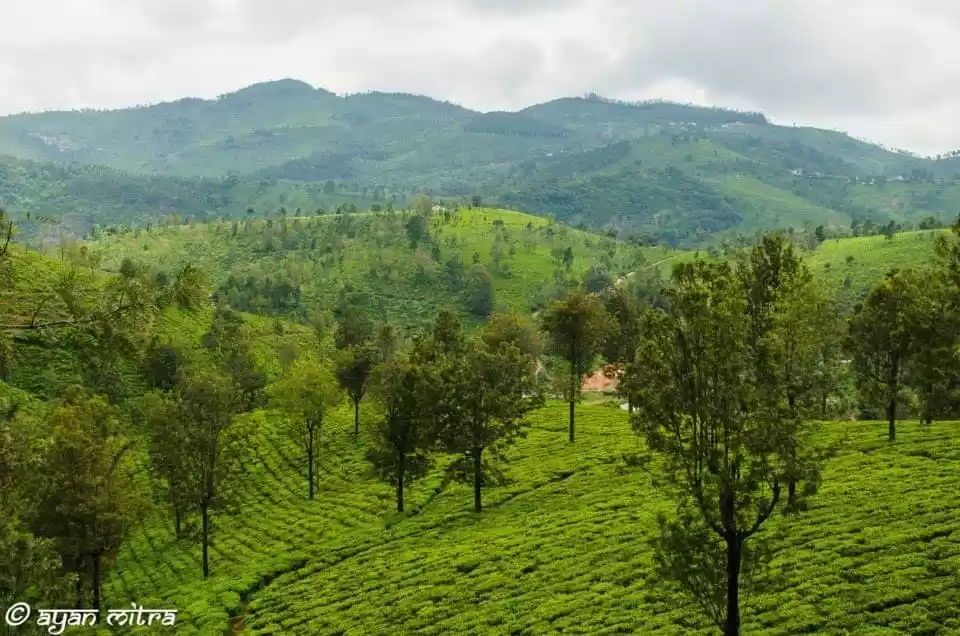 Photo of Coonoor can take you