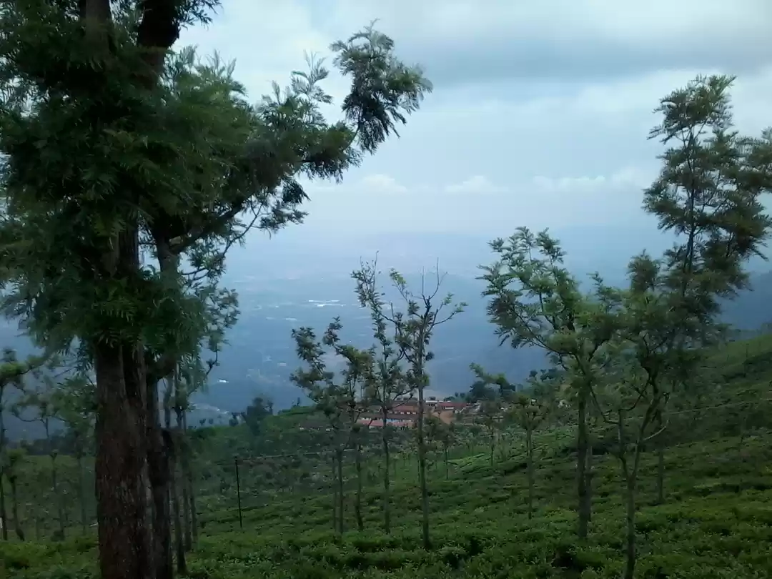 Photo of Coonoor-a refuge to 