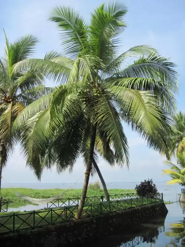 Photo of 'God's own Country (