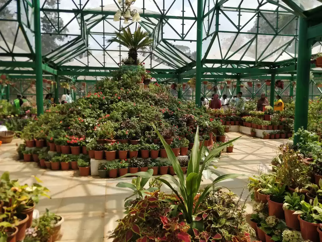 Photo of Ooty - Hill Retreat 