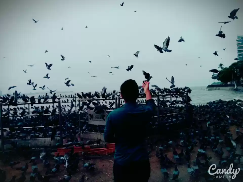 Photo of Bombay ki baarish