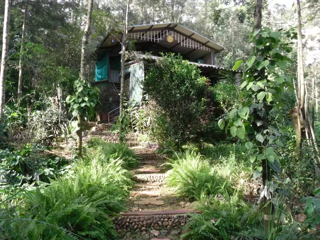 Photo of Monsoon in Chikkamag