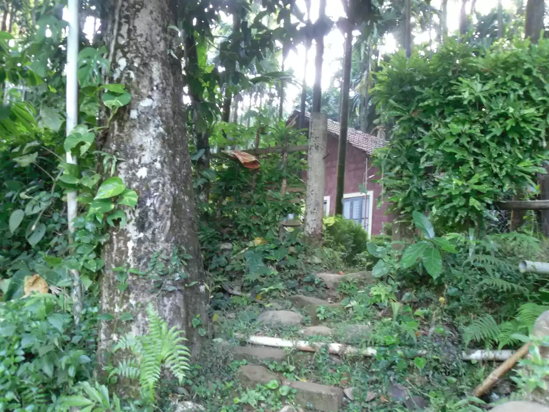 Photo of Serene Arasinamakki