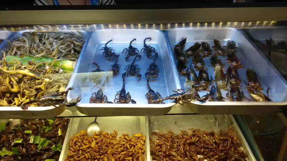 Photo of Exploring Thailand t