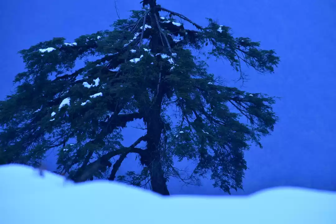 Photo of Arunachal Pradesh-Th