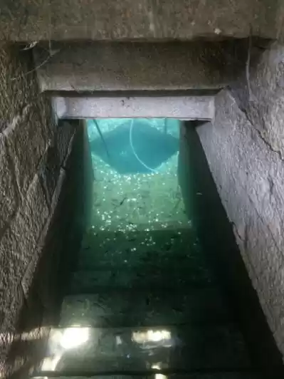 Photo of Day 3 – Introspectiv