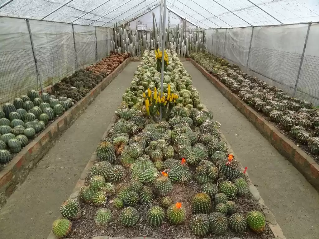 Photo of Kalimpong – A beauti