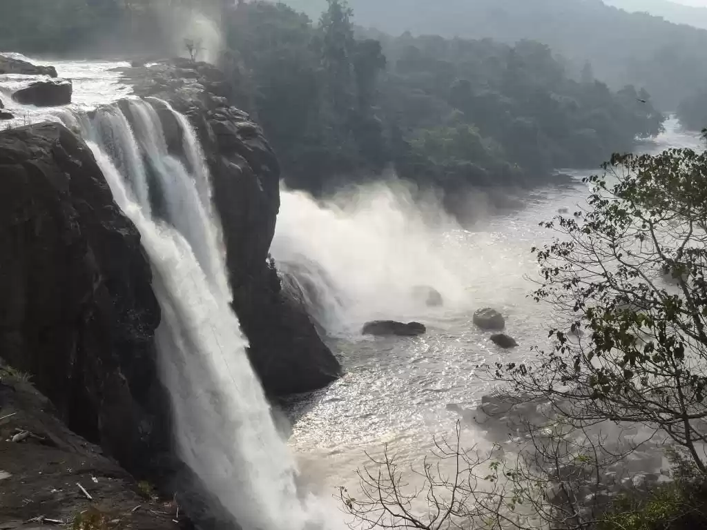 Photo of Munnar and Thekkady-