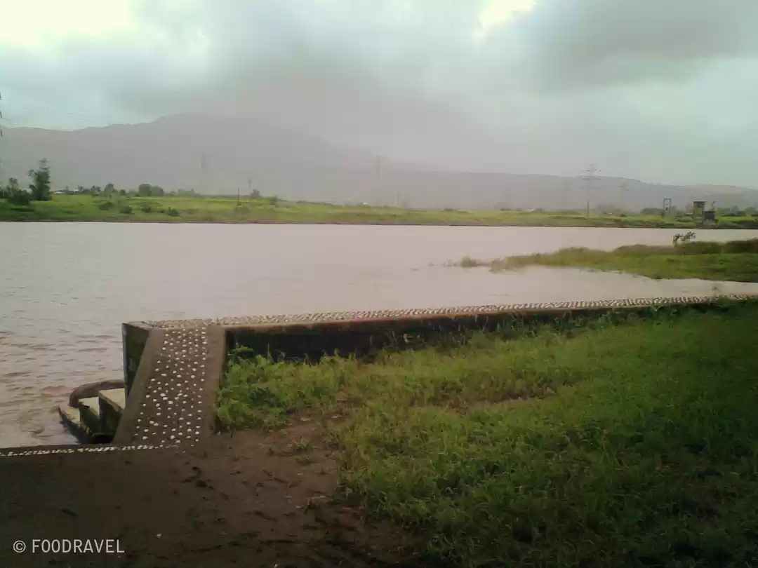 Photo of Touched by Nature