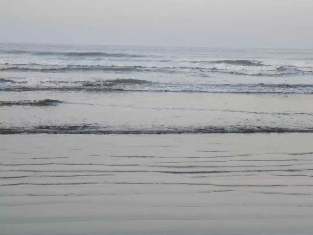 Photo of From the archives -