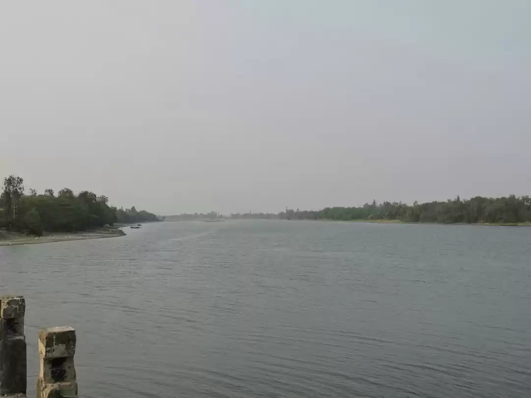 Photo of Sundarban's hidden t