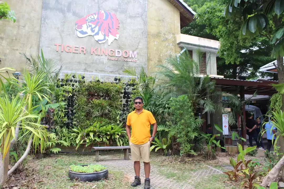 Photo of Tiger kingdom; Phuke