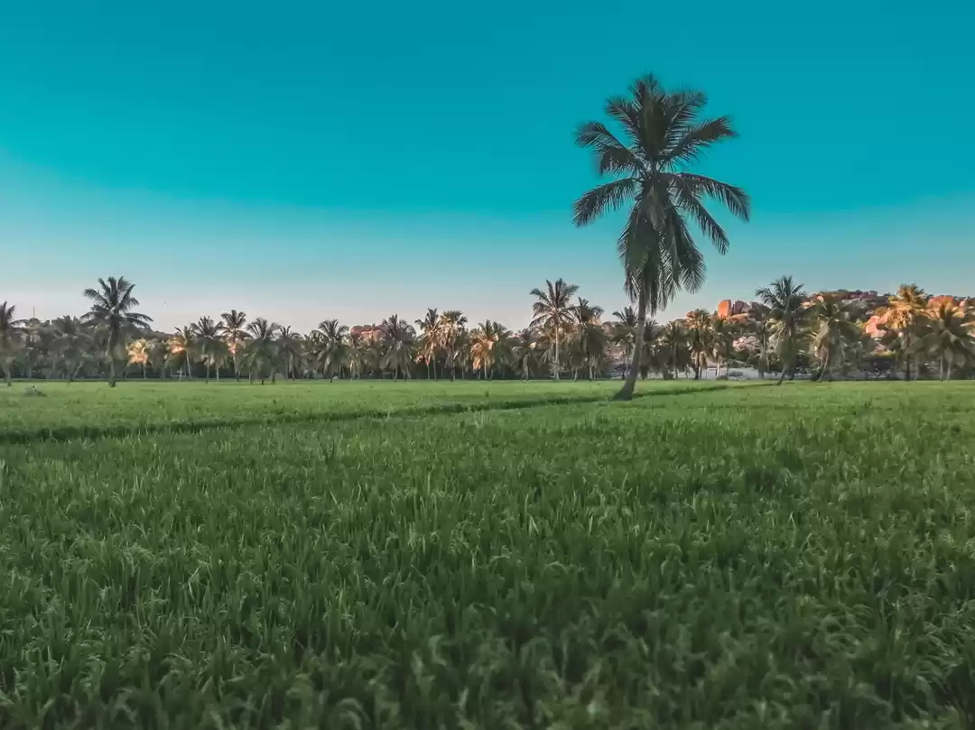 Photo of Hampi - The right mi