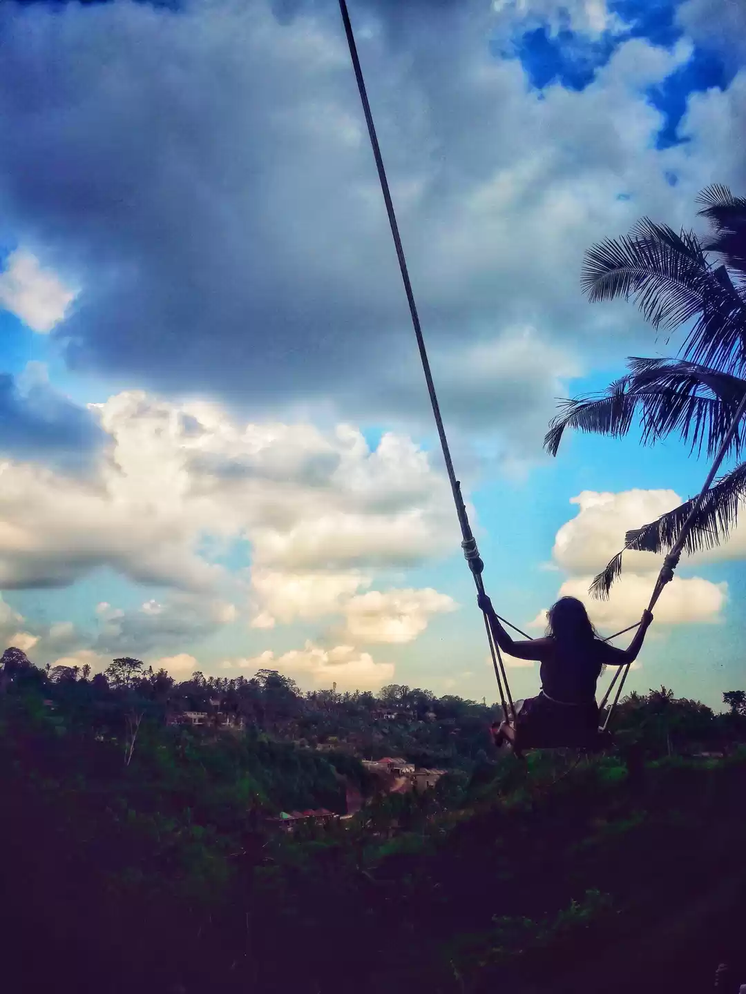 Photo of Bali Swing - Brutall