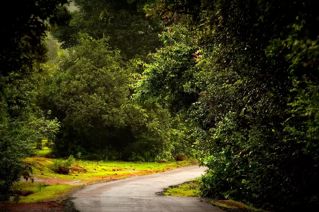Photo of the road in the bend