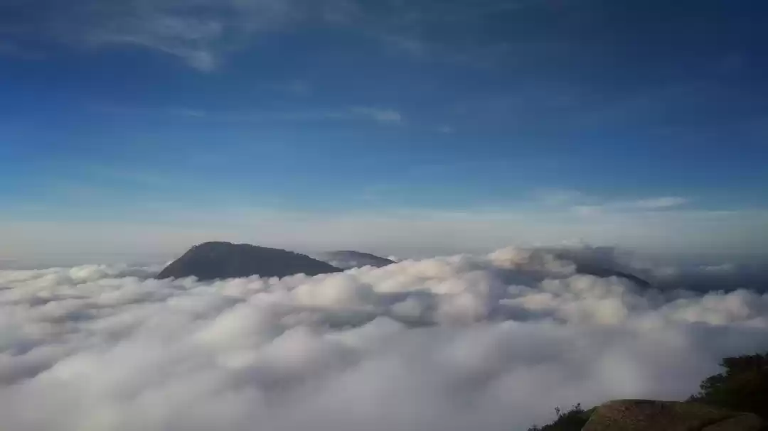 Photo of Everything You Need