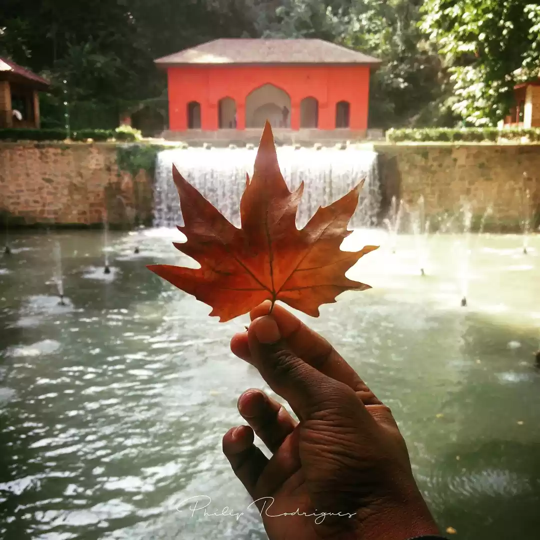 Photo of Kashmir and Kashmiri