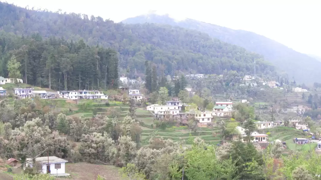 Photo of Gwaldam - Vantage po