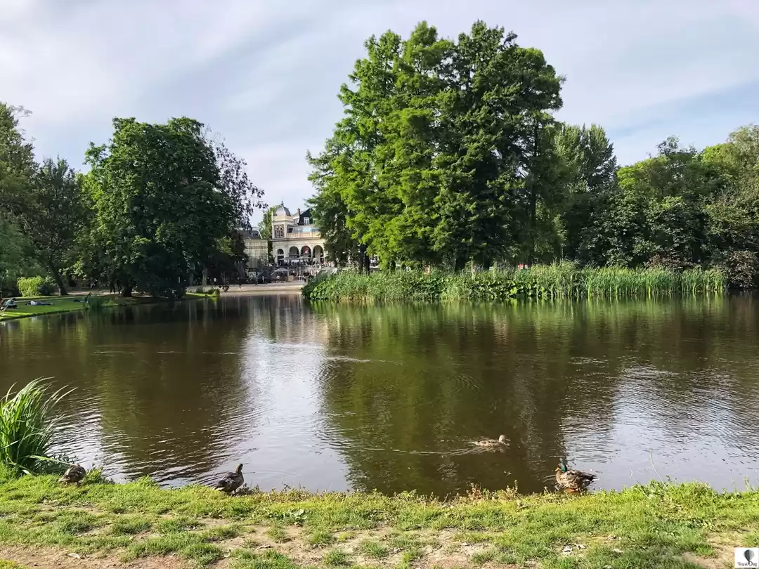 Photo of Beginners Guide: The