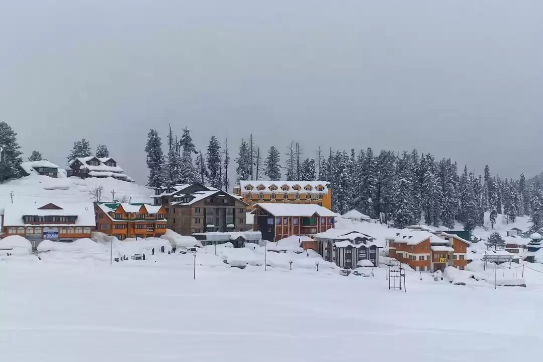 Photo of Winter Wonderland, w