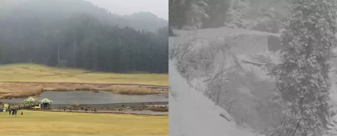 Photo of Two shades of Khajji