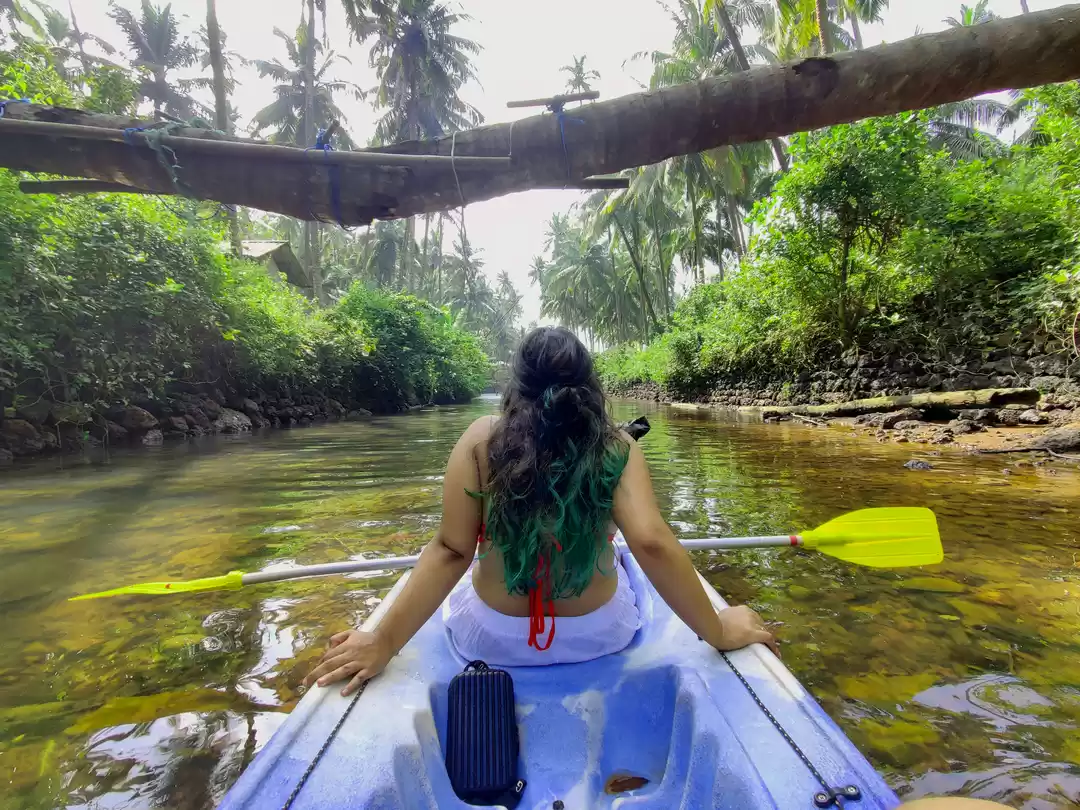 Photo of A rendezvous with Go