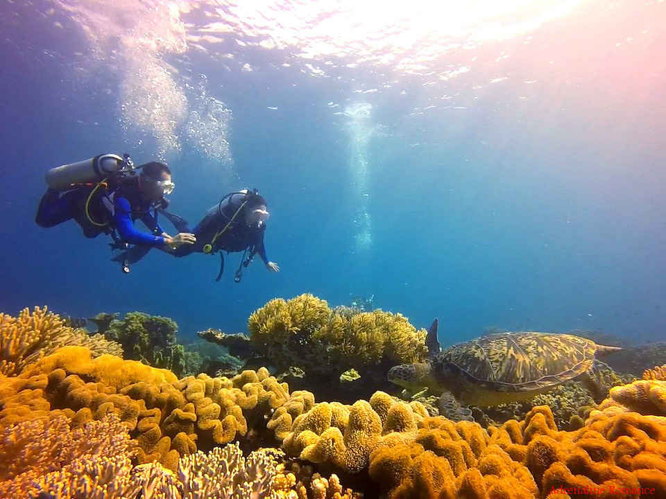 Scuba diving in Chapel, Apo Island: Finding love and beauty under the