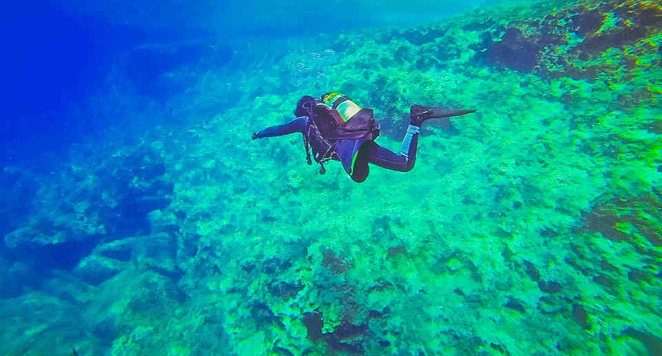 Y8d0dulrep1nm In an effort to conserve the marine life in and around the area, the local dive centre has built and maintains the first and only artificial reef (non shipwreck) in india. https www tripoto com india trips top pondicherry attractions