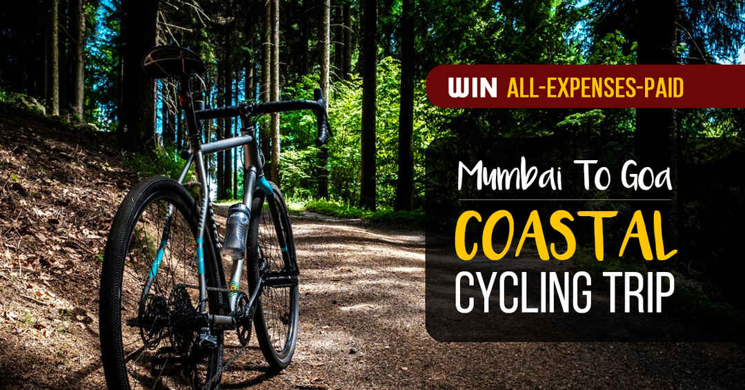 Dream Come True For Cyclists Win An All-Expenses-Paid Coastal Cycling ...