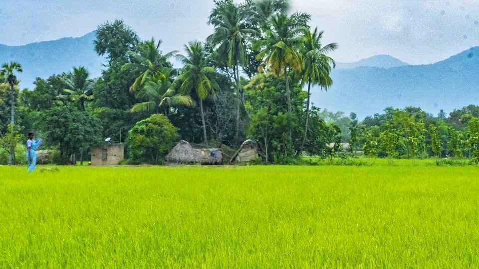 A Day Trip From Chennai To The Surreal Countryside Of Tamil Nadu Tripoto