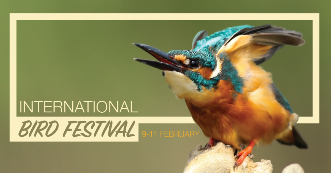 Uttar Pradesh Bird Festival is Back and Here’s all you Need to Know