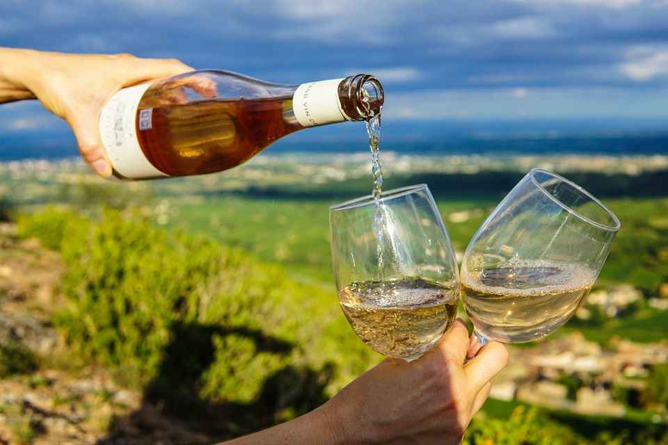 Wine Festival, Nashik When, Where, Costs And More