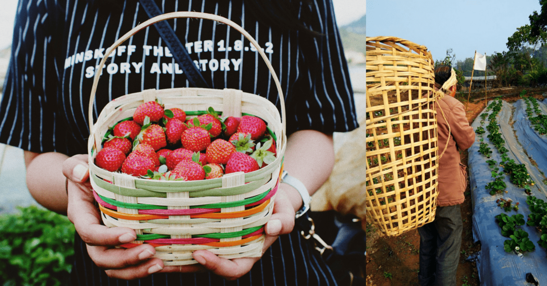 The untold story of Strawberry Village Shillong Meghalaya Northeast