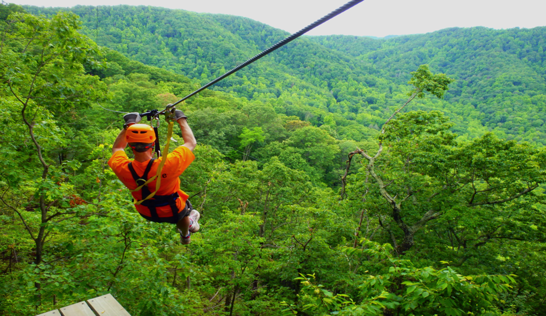 The Ultimate Guide to Ziplining in India Tripoto